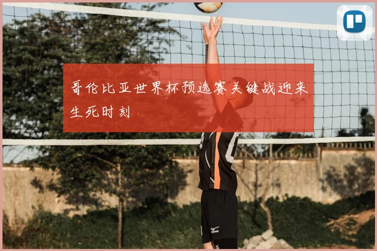 哥伦比亚世界杯预选赛关键战迎来生死时刻