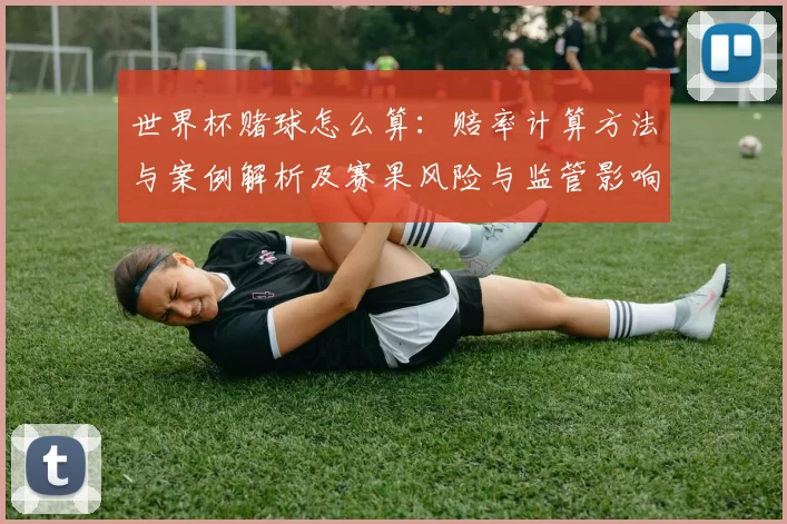 世界杯赌球怎么算：赔率计算方法与案例解析及赛果风险与监管影响