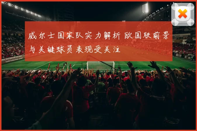 威尔士国家队实力解析 欧国联前景与关键球员表现受关注